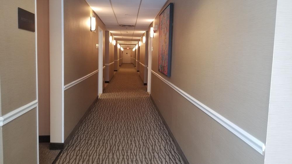 Comfort Inn Apalachin - Binghamton W Route 17 Kültér fotó