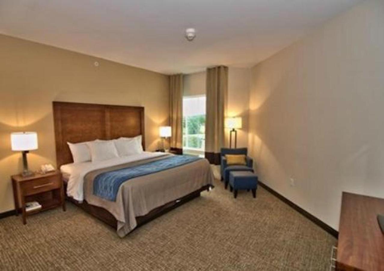 Comfort Inn Apalachin - Binghamton W Route 17 Kültér fotó
