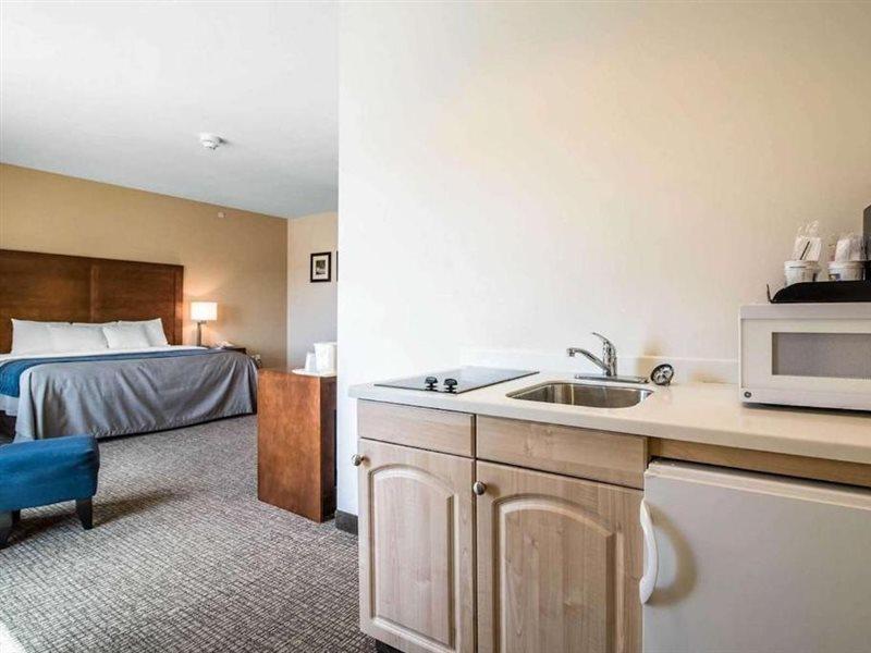 Comfort Inn Apalachin - Binghamton W Route 17 Kültér fotó