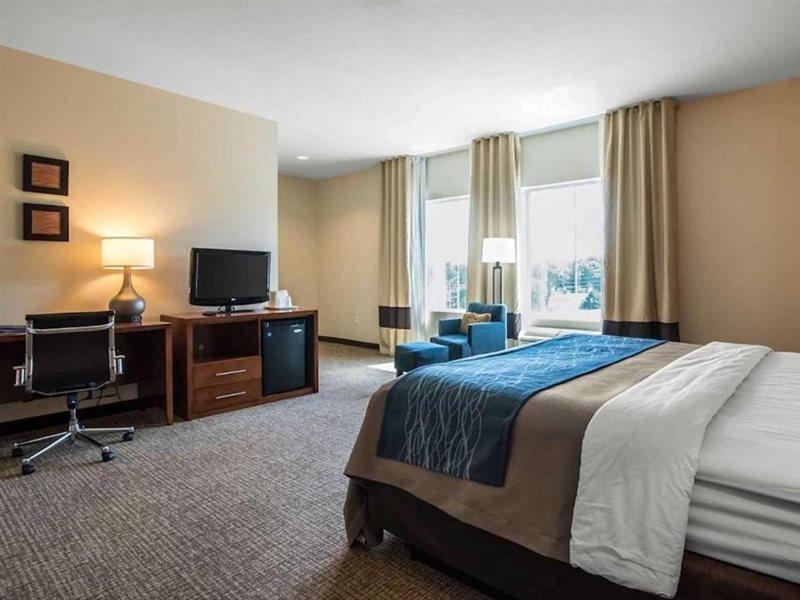 Comfort Inn Apalachin - Binghamton W Route 17 Kültér fotó