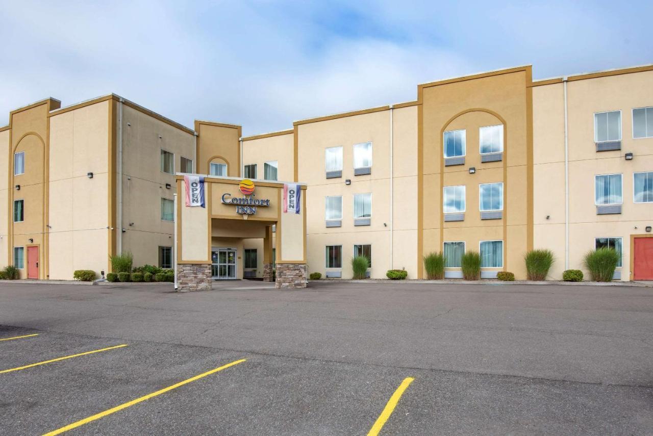 Comfort Inn Apalachin - Binghamton W Route 17 Kültér fotó