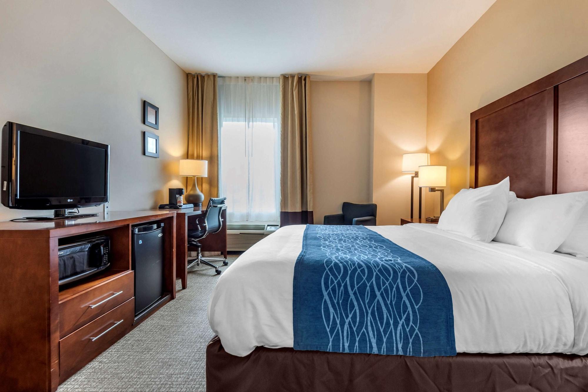 Comfort Inn Apalachin - Binghamton W Route 17 Kültér fotó