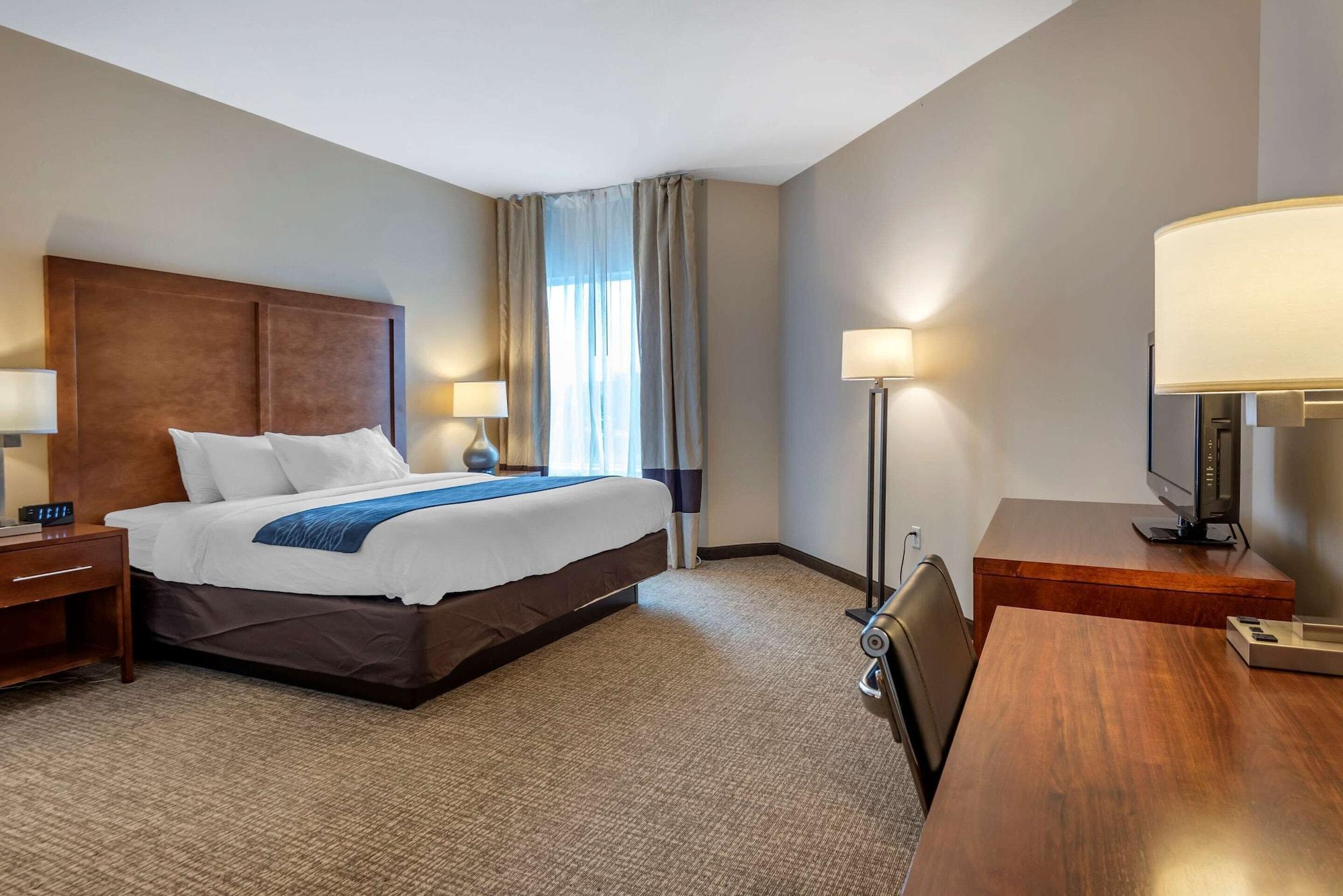 Comfort Inn Apalachin - Binghamton W Route 17 Kültér fotó