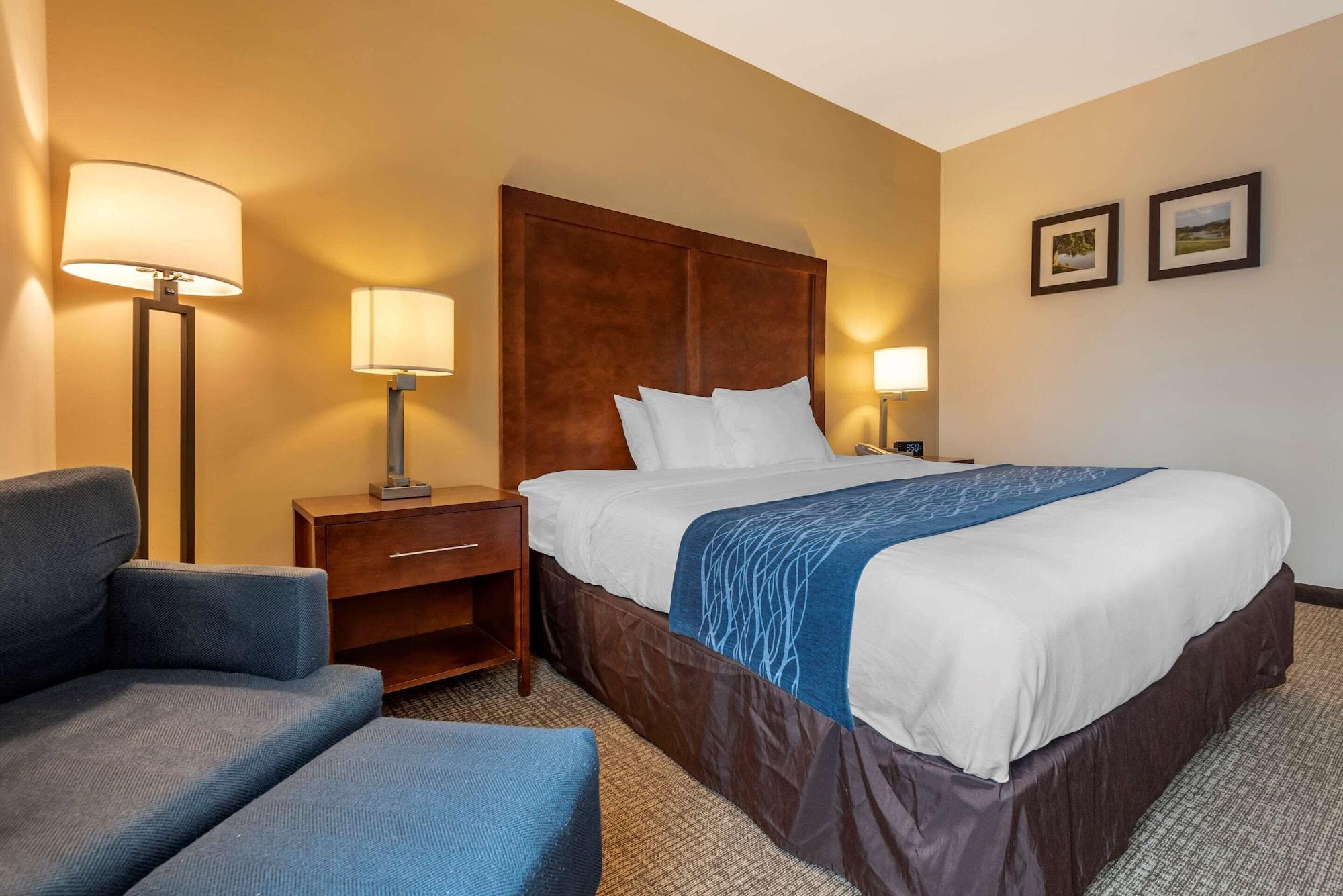 Comfort Inn Apalachin - Binghamton W Route 17 Kültér fotó