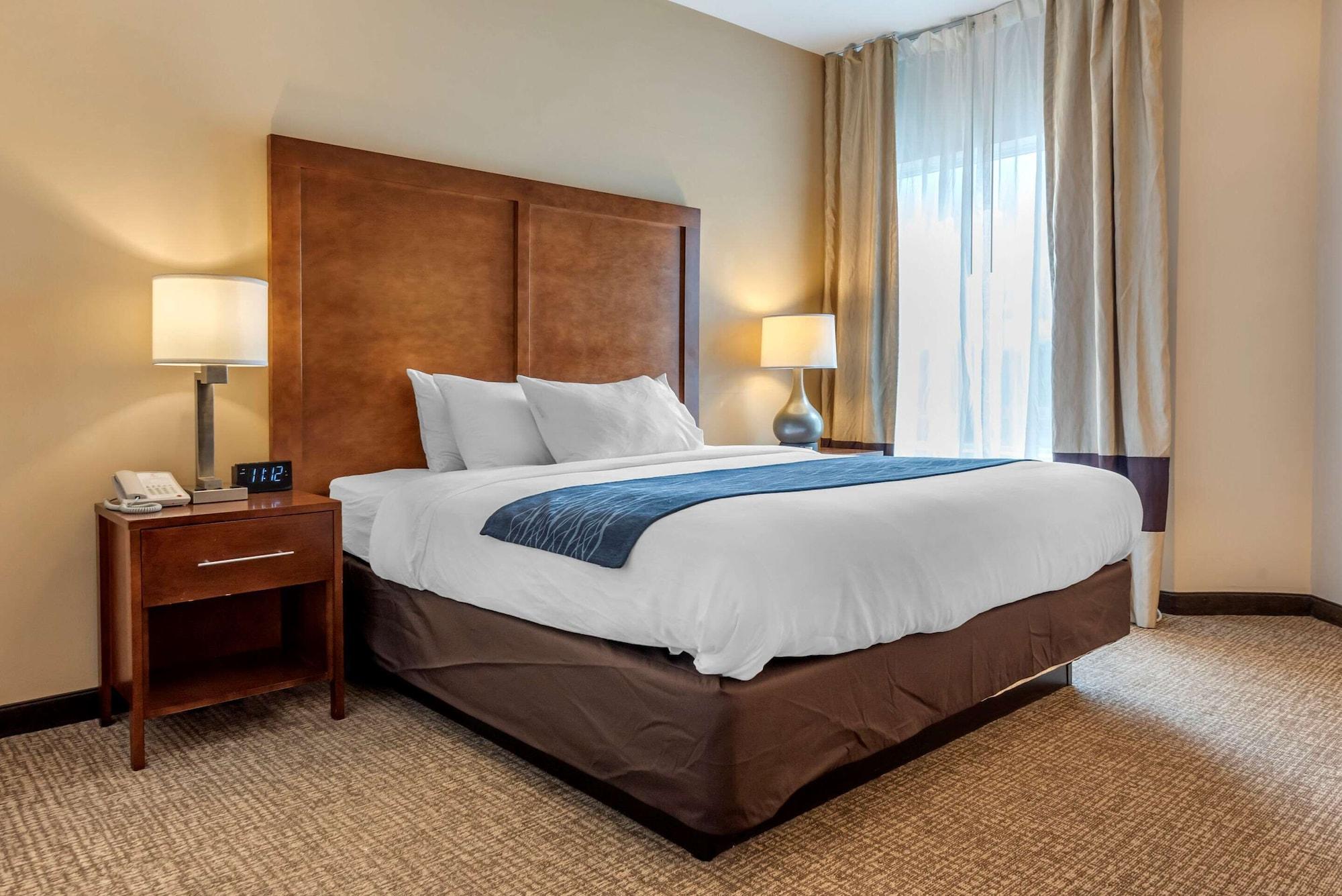 Comfort Inn Apalachin - Binghamton W Route 17 Kültér fotó