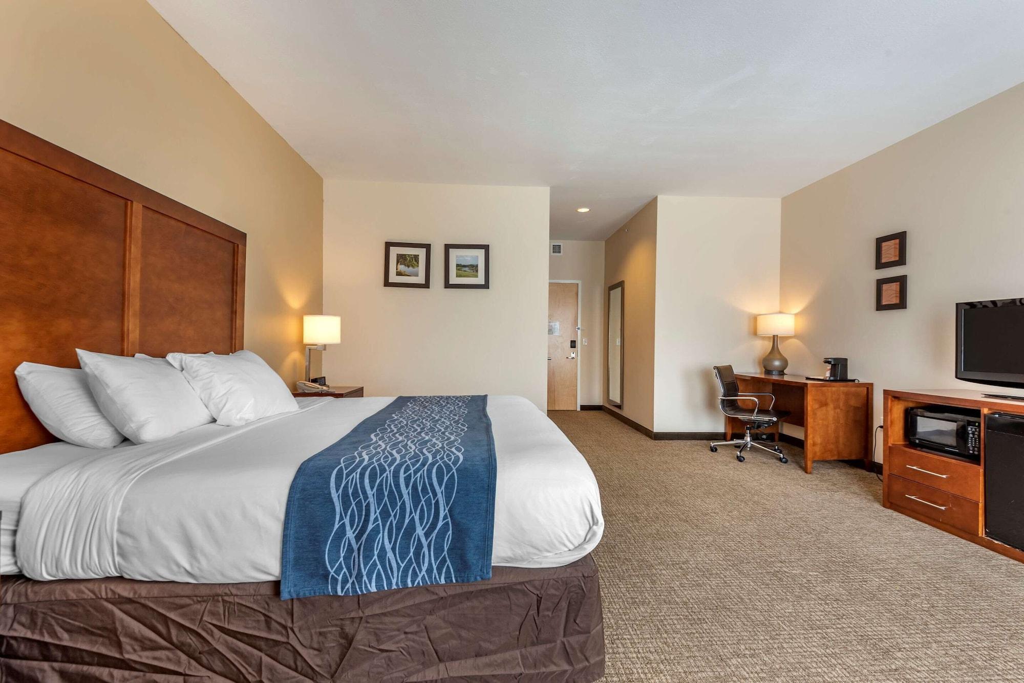 Comfort Inn Apalachin - Binghamton W Route 17 Kültér fotó