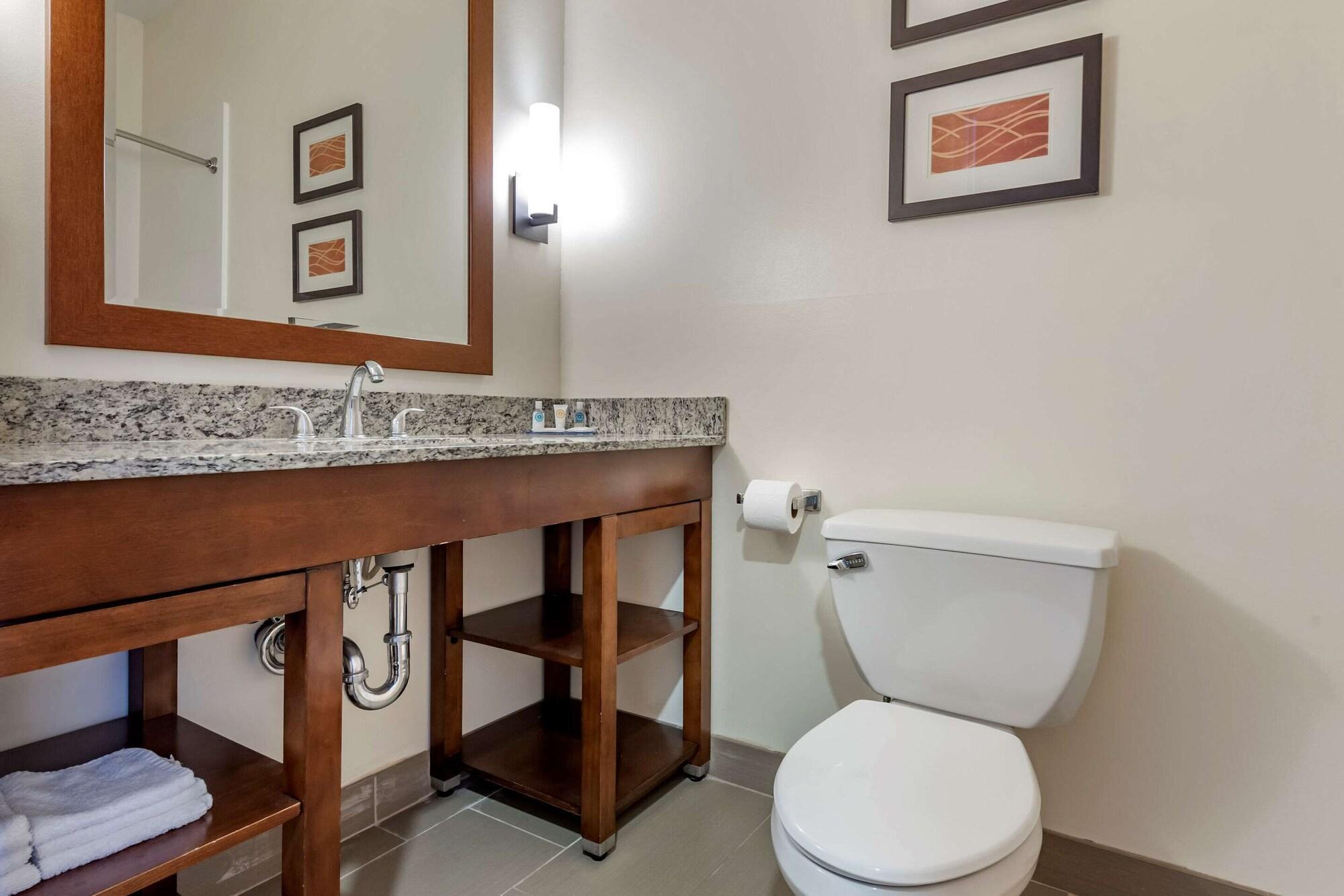 Comfort Inn Apalachin - Binghamton W Route 17 Kültér fotó