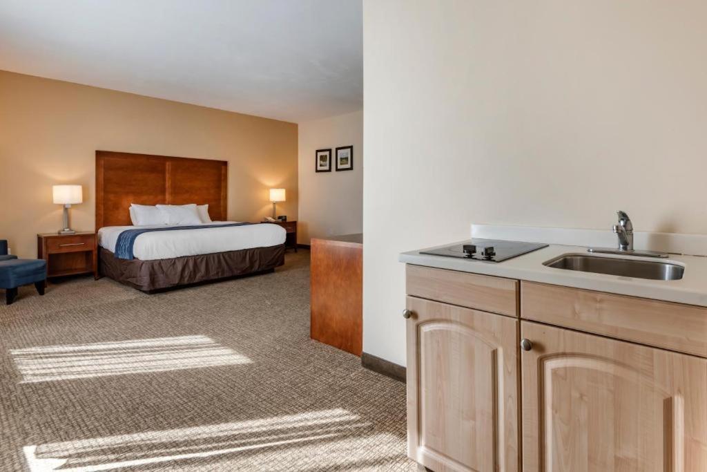 Comfort Inn Apalachin - Binghamton W Route 17 Kültér fotó