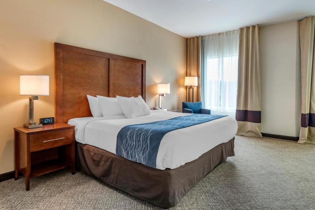 Comfort Inn Apalachin - Binghamton W Route 17 Kültér fotó