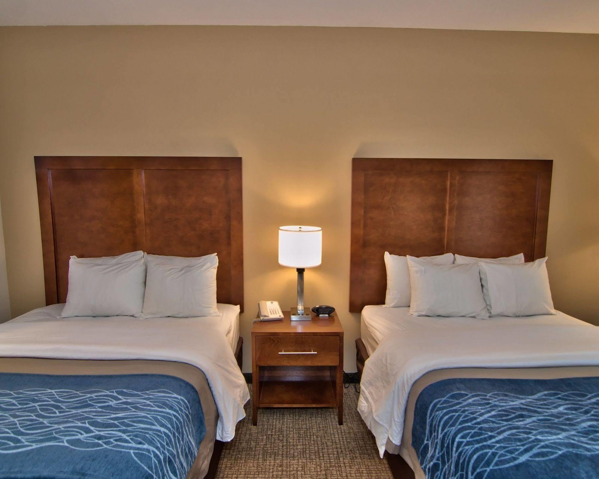 Comfort Inn Apalachin - Binghamton W Route 17 Kültér fotó
